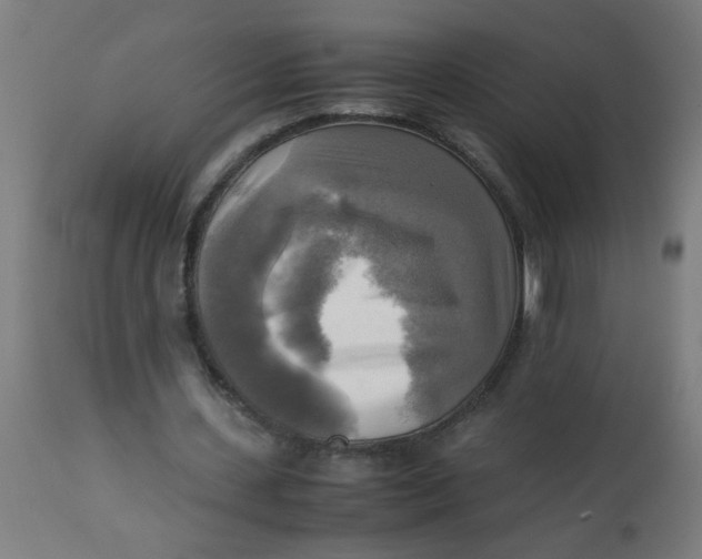X0000113220531200910081343