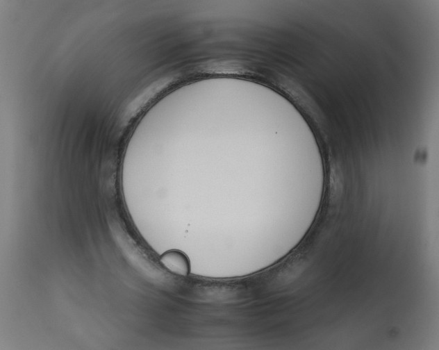 X0000113220533200910081343
