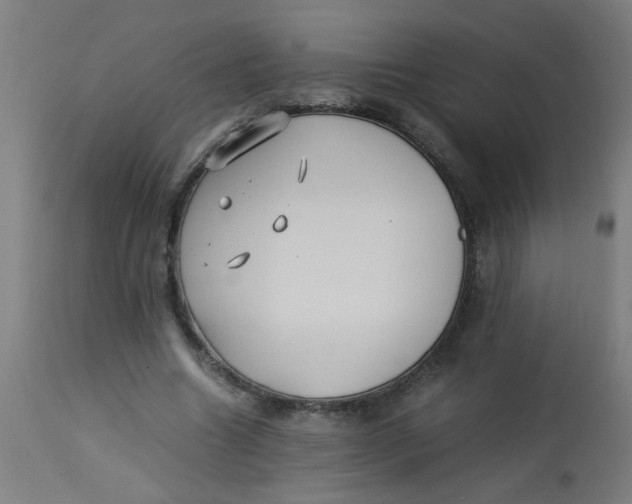 X0000113220538200910081344