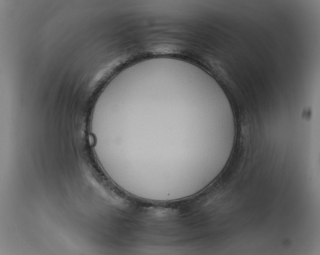 X0000113220539200910081344