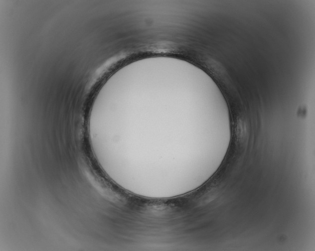 X0000113220540200910081344