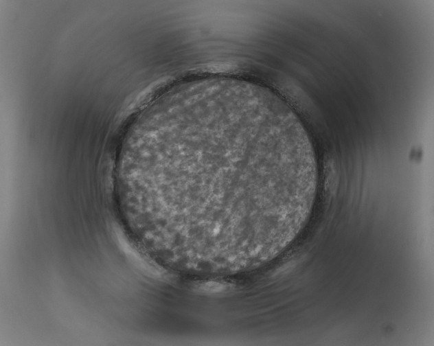 X0000113220542200910081344