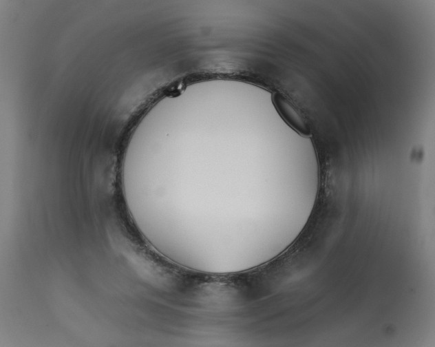 X0000113220544200910081344