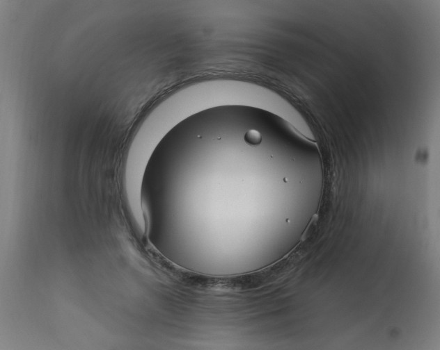 X0000113220546200910081344