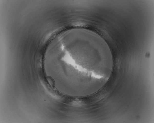 X0000113220547200910081344