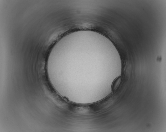X0000113220548200910081344