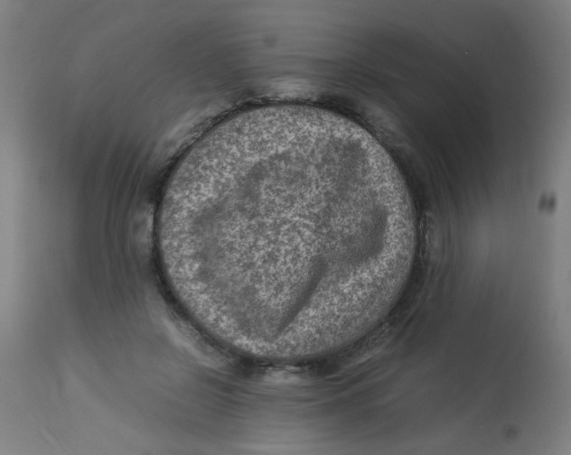 X0000113220550200910081344