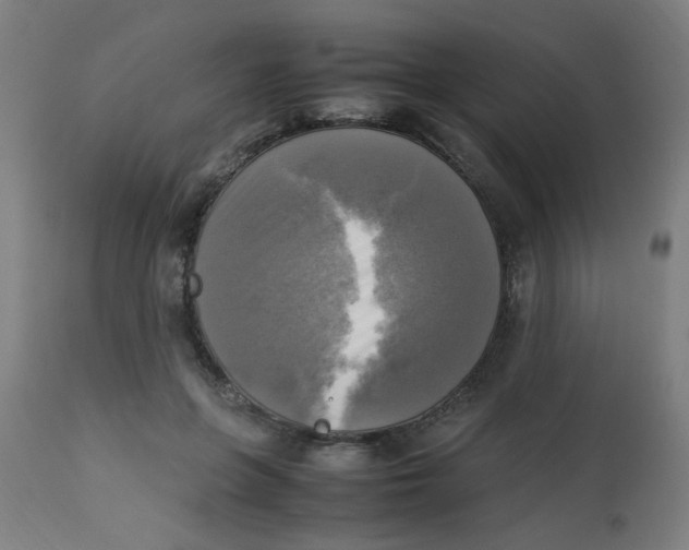 X0000113220551200910081344