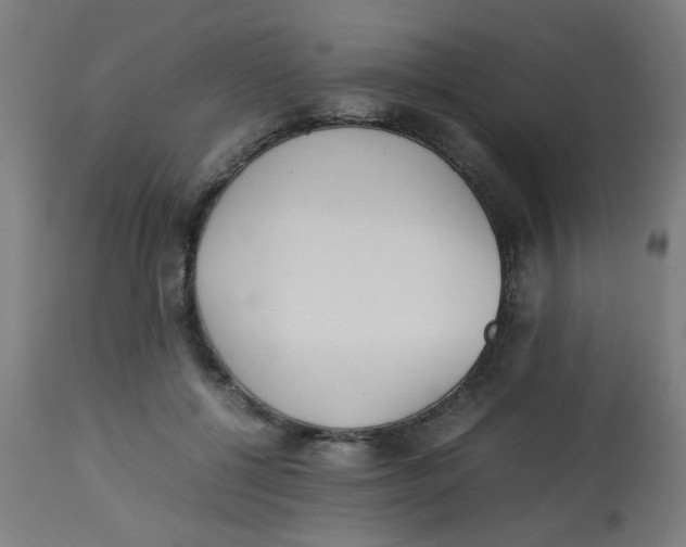 X0000113220552200910081344