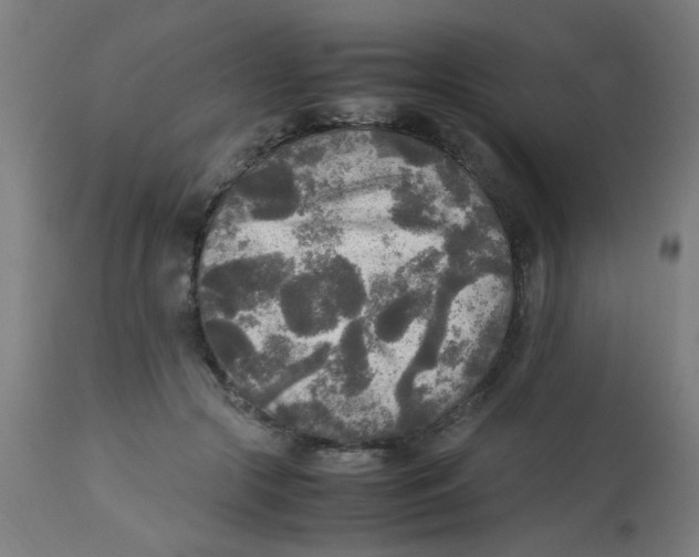 X0000113220553200910081344