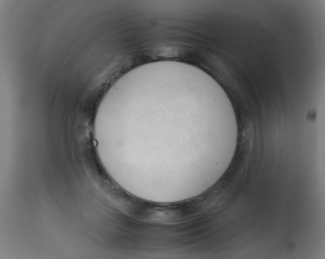 X0000113220555200910081344