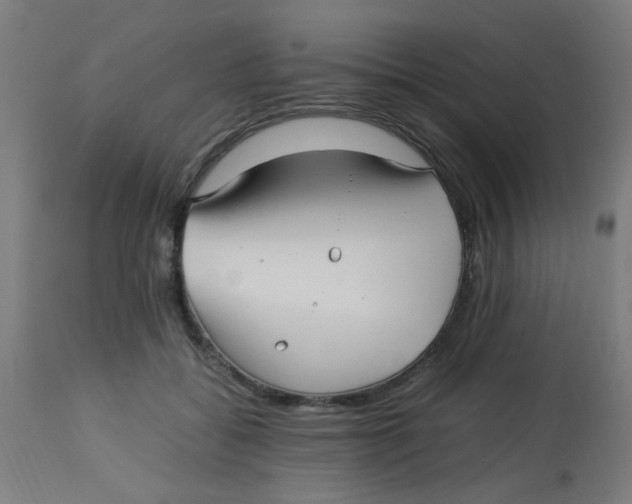 X0000113220556200910081344