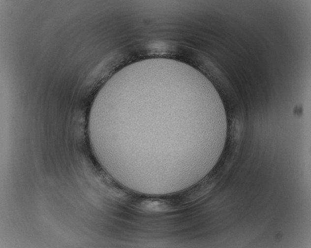 X0000113220557200910081344