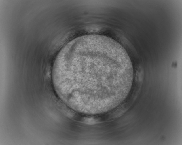 X0000113220561200910081344