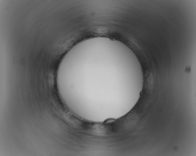 X0000113220562200910081344
