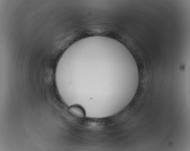 X0000113220563200910081344