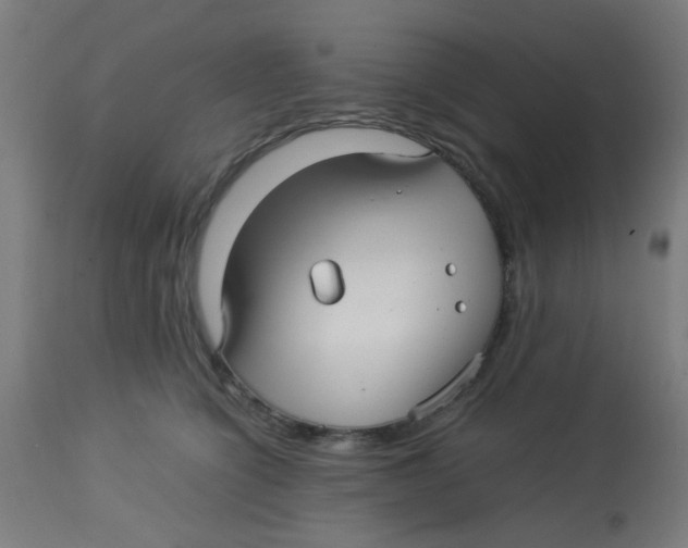 X0000113220564200910081344