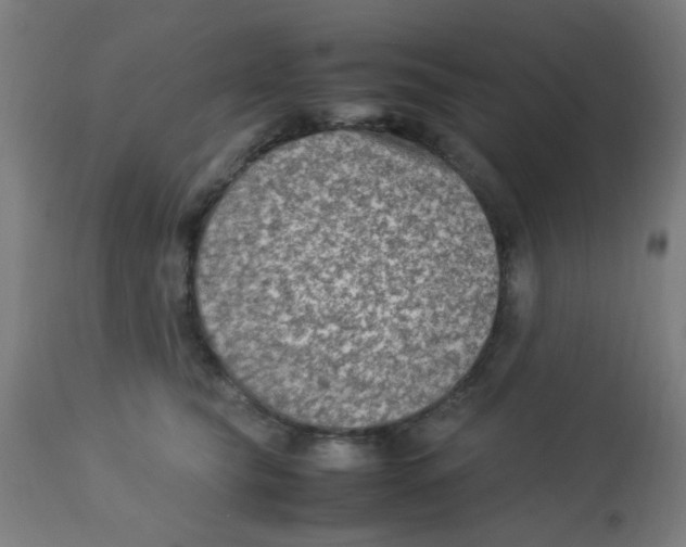 X0000113220565200910081344