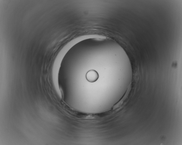 X0000113220566200910081344