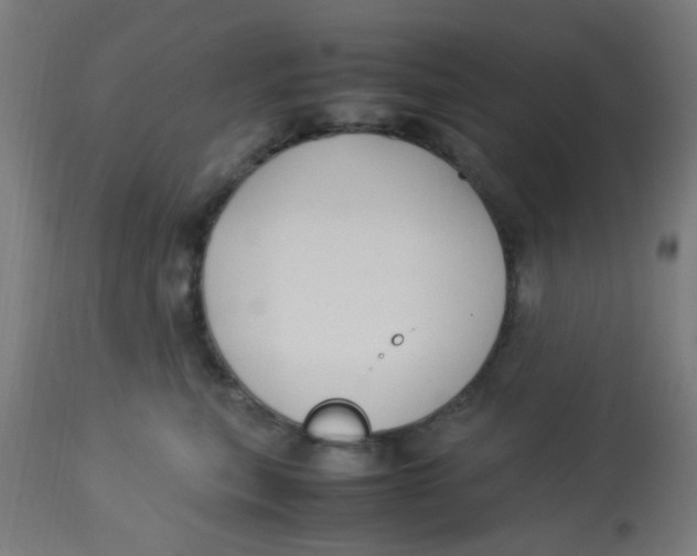 X0000113220567200910081344