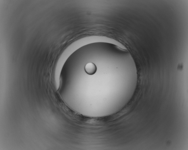 X0000113220568200910081344