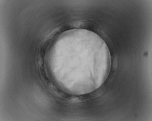 X0000113220569200910081344