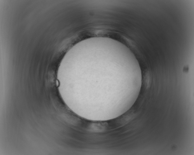 X0000113220571200910081344