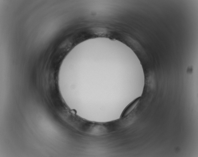 X0000113220572200910081344