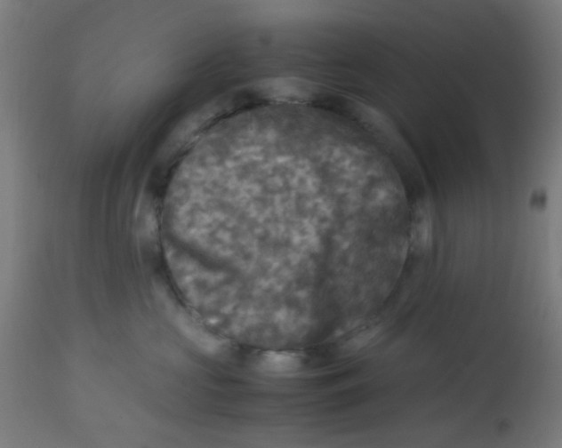 X0000113220573200910081344