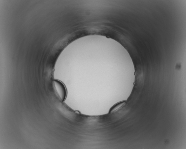 X0000113220574200910081344