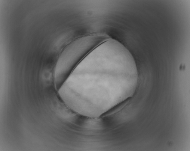 X0000113220576200910081344