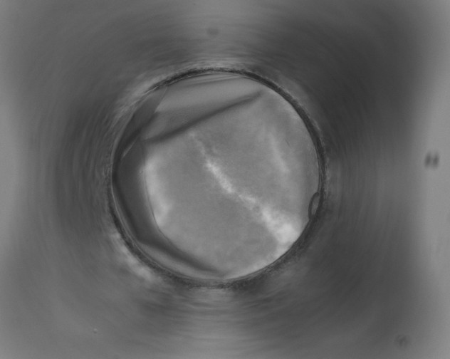X0000113220577200910081343