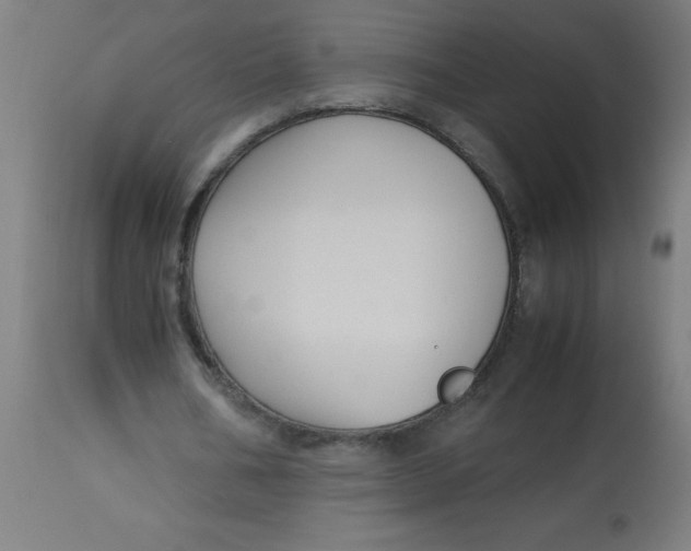 X0000113220578200910081343