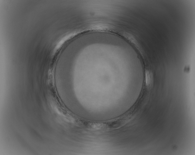X0000113220579200910081343