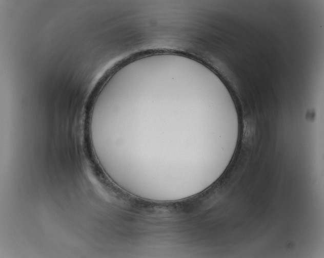 X0000113220580200910081343