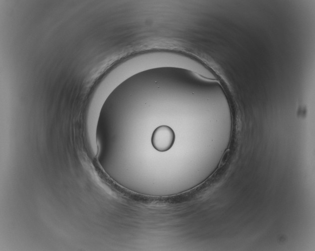 X0000113220581200910081343