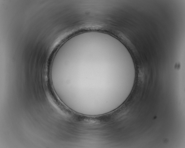 X0000113220582200910081343