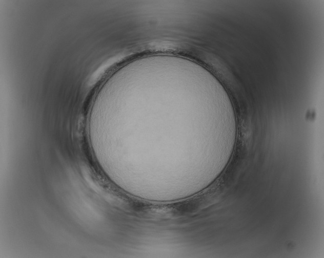 X0000113220583200910081343