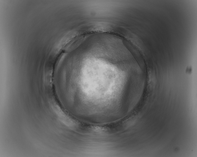 X0000113220585200910081343