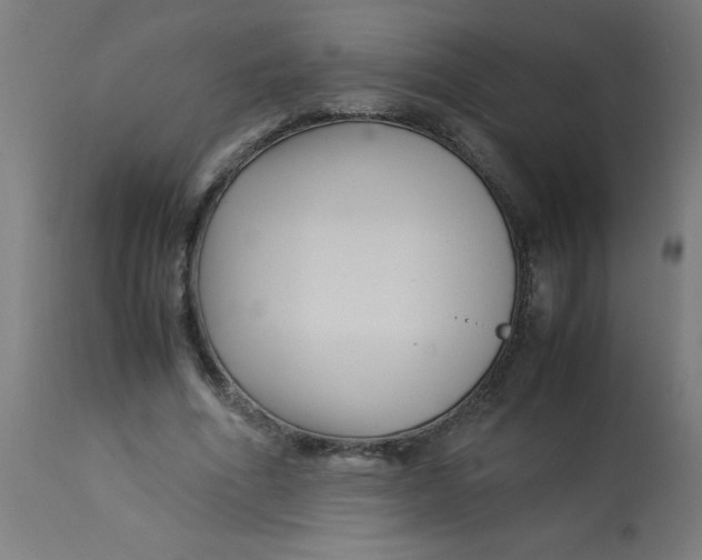 X0000113220586200910081343