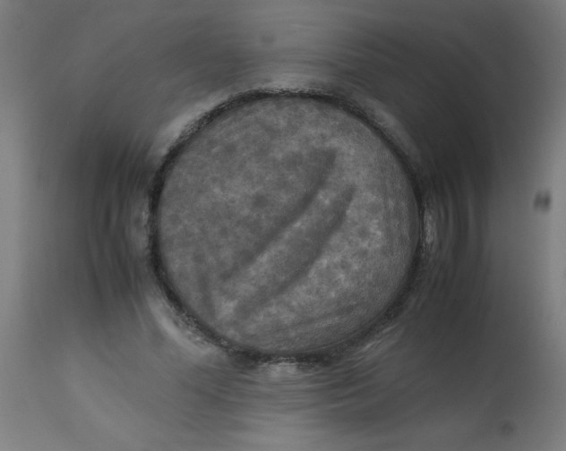 X0000113220588200910081343