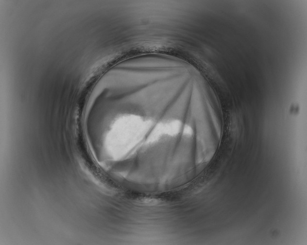 X0000113220590200910081343