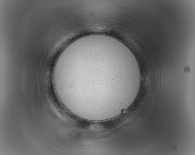 X0000113220591200910081343