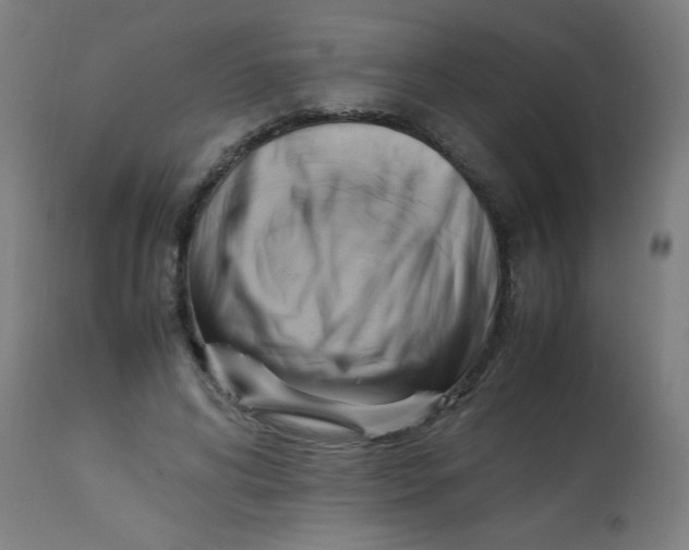 X0000113220592200910081343