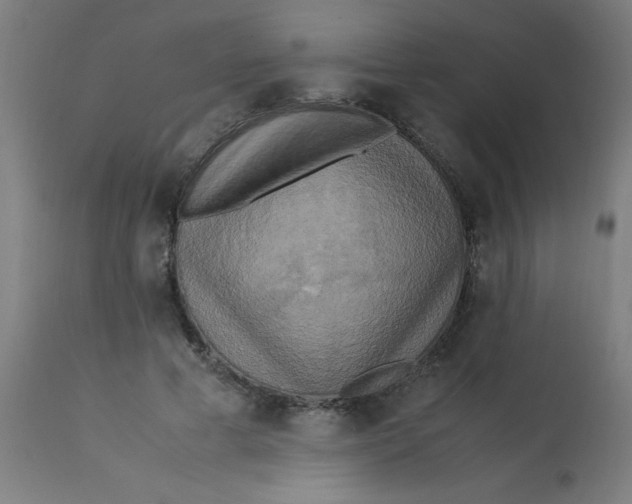 X0000113220593200910081343