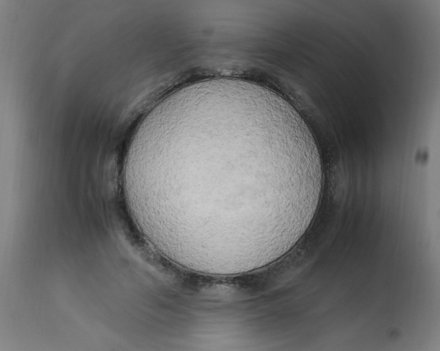 X0000113220594200910081343
