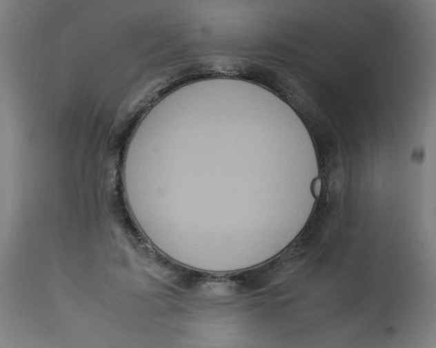 X0000113220595200910081343
