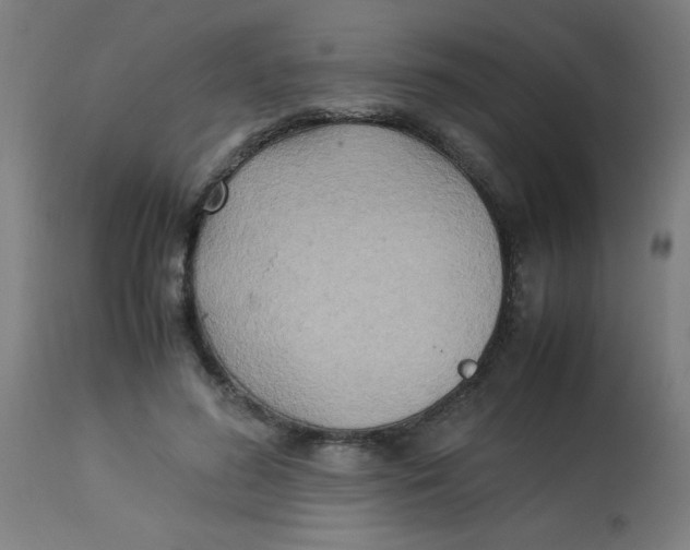 X0000113220596200910081343