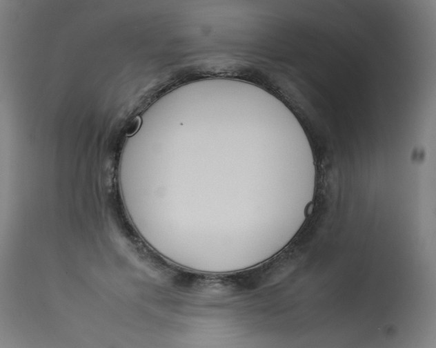 X0000113220597200910081343