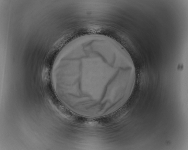 X0000113220598200910081343